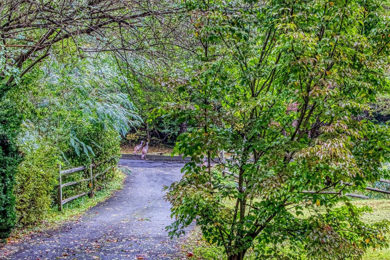 Cozy Creek Cabin Pigeon Forge Luaran gambar