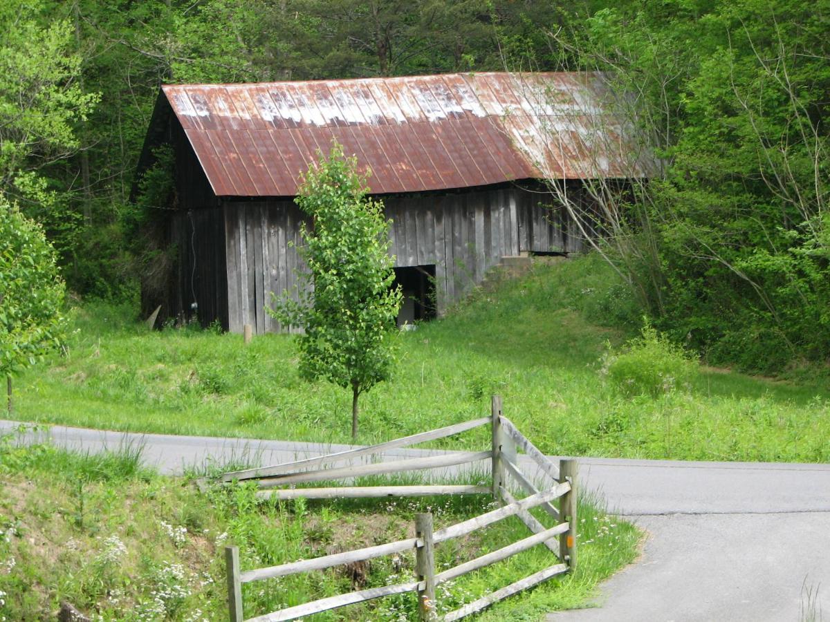 Cozy Creek Cabin Pigeon Forge Luaran gambar